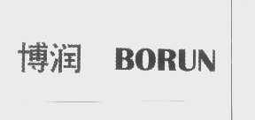 博润   BORUN