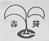 春芽