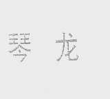 琴龙