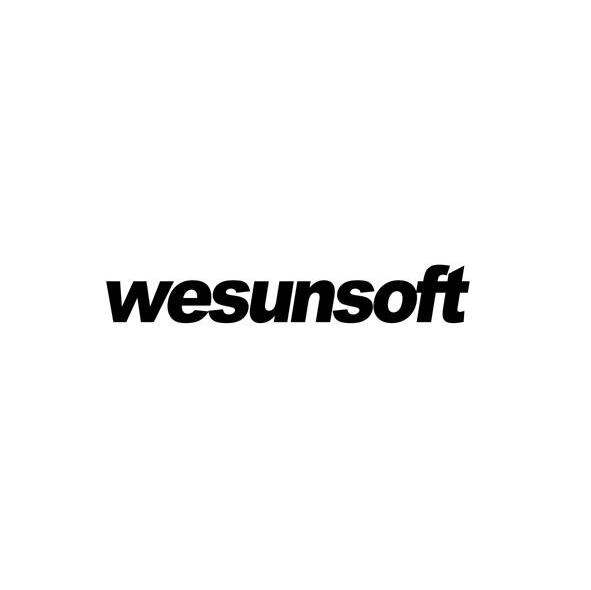 WESUNSOFT