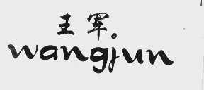 王军