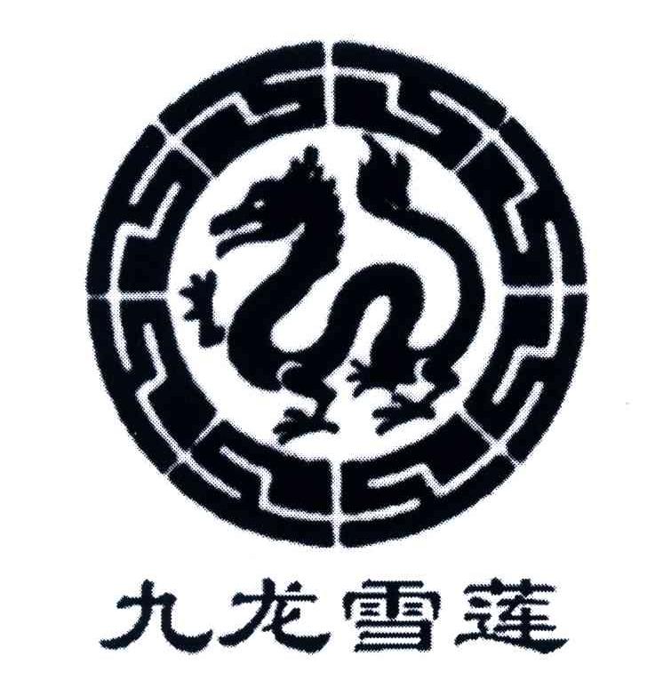九龙雪莲