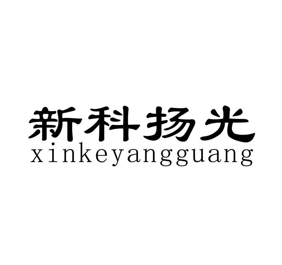 新科扬光
