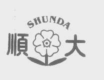顺大