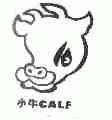 小牛;CALF
