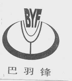 巴羽锋   BYF