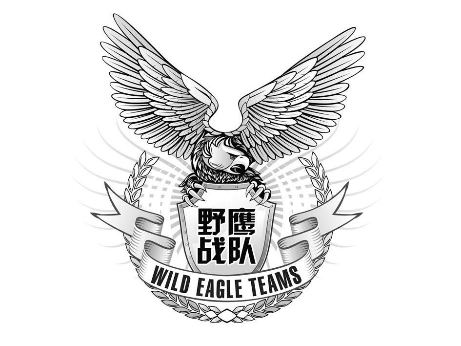 野鹰战队 WILD EAGLE TEAMS