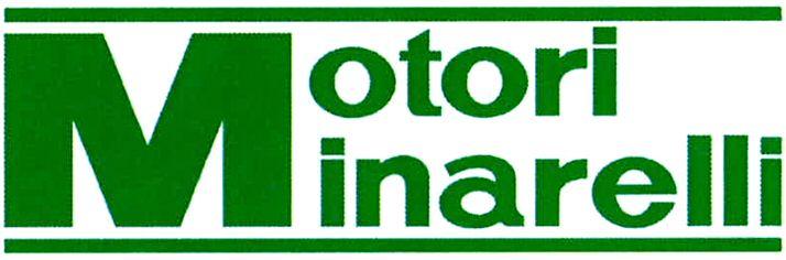 MOTORI MINARELLI.