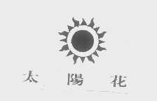 太阳花