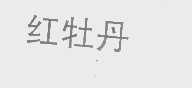 红牡丹