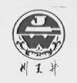 川王井