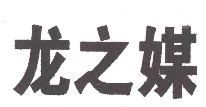 龙之媒