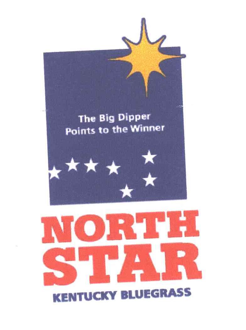 THE BIG DIPPER POINTS TO THE WINNER;NORTH STAR;KENTUCKY BLUEGRASS