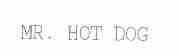 MR.HOT DOG