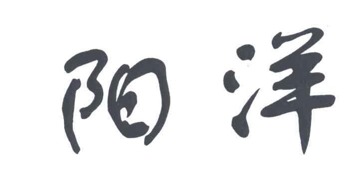阳洋