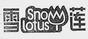 雪莲   SNOW LOTUS