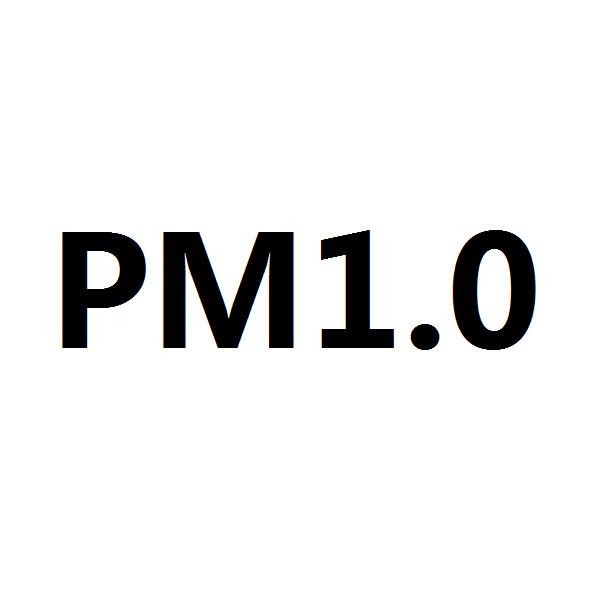PM 1.0