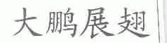 大鹏展翅