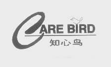 知心鸟 CARE BIRD