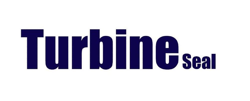 TURBINE SEAL