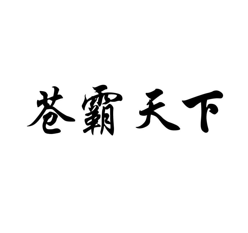 苍霸天下