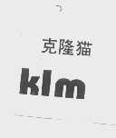 克隆猫  KLM