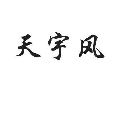 天宇风
