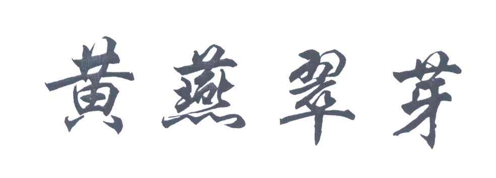 黄燕翠芽