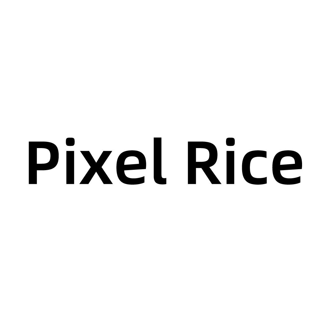PIXEL RICE