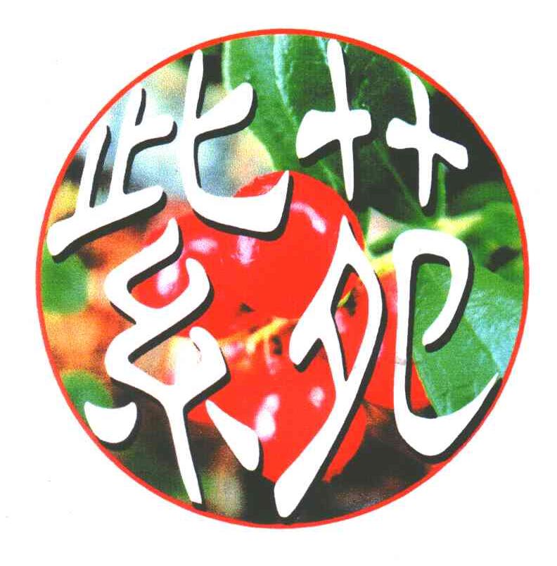 紫苑