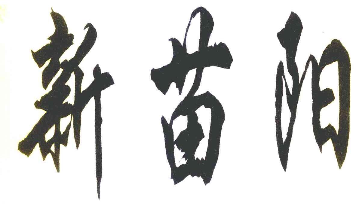 新苗阳