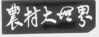 农村大世界