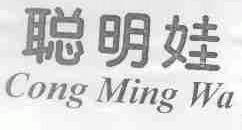 聪明娃