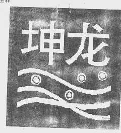 坤龙