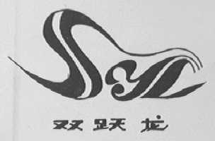 双跃龙