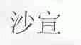 沙宣