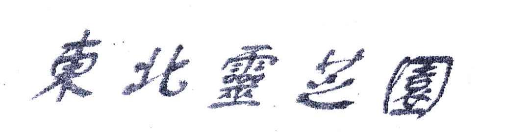 东北灵芝园