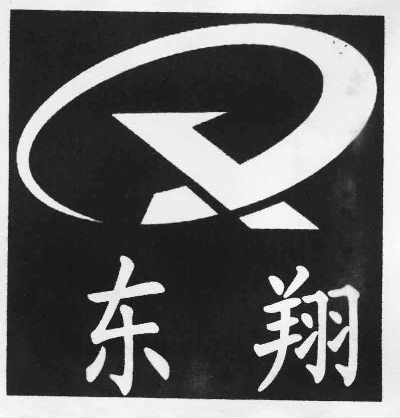 东翔