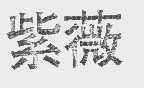 紫薇