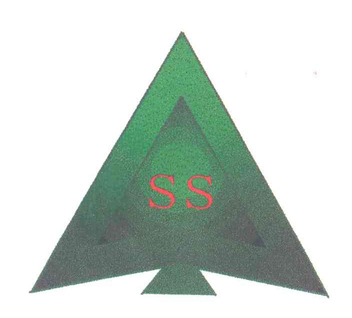 SS图