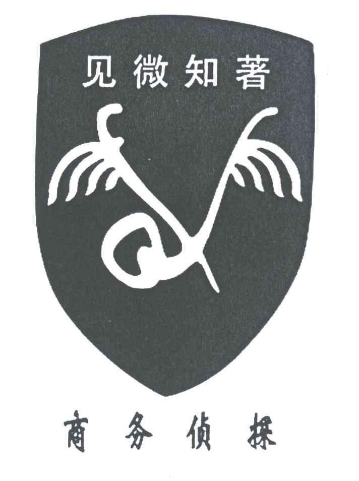 见微知著