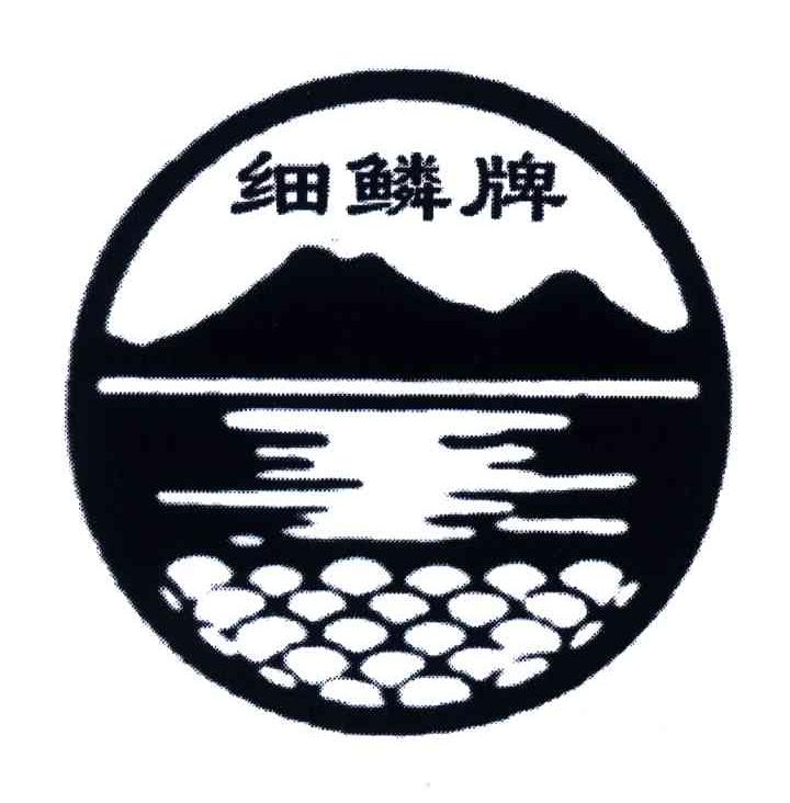 细鳞牌