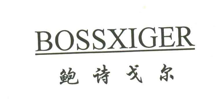 鲍诗戈尔BOSSXIGER