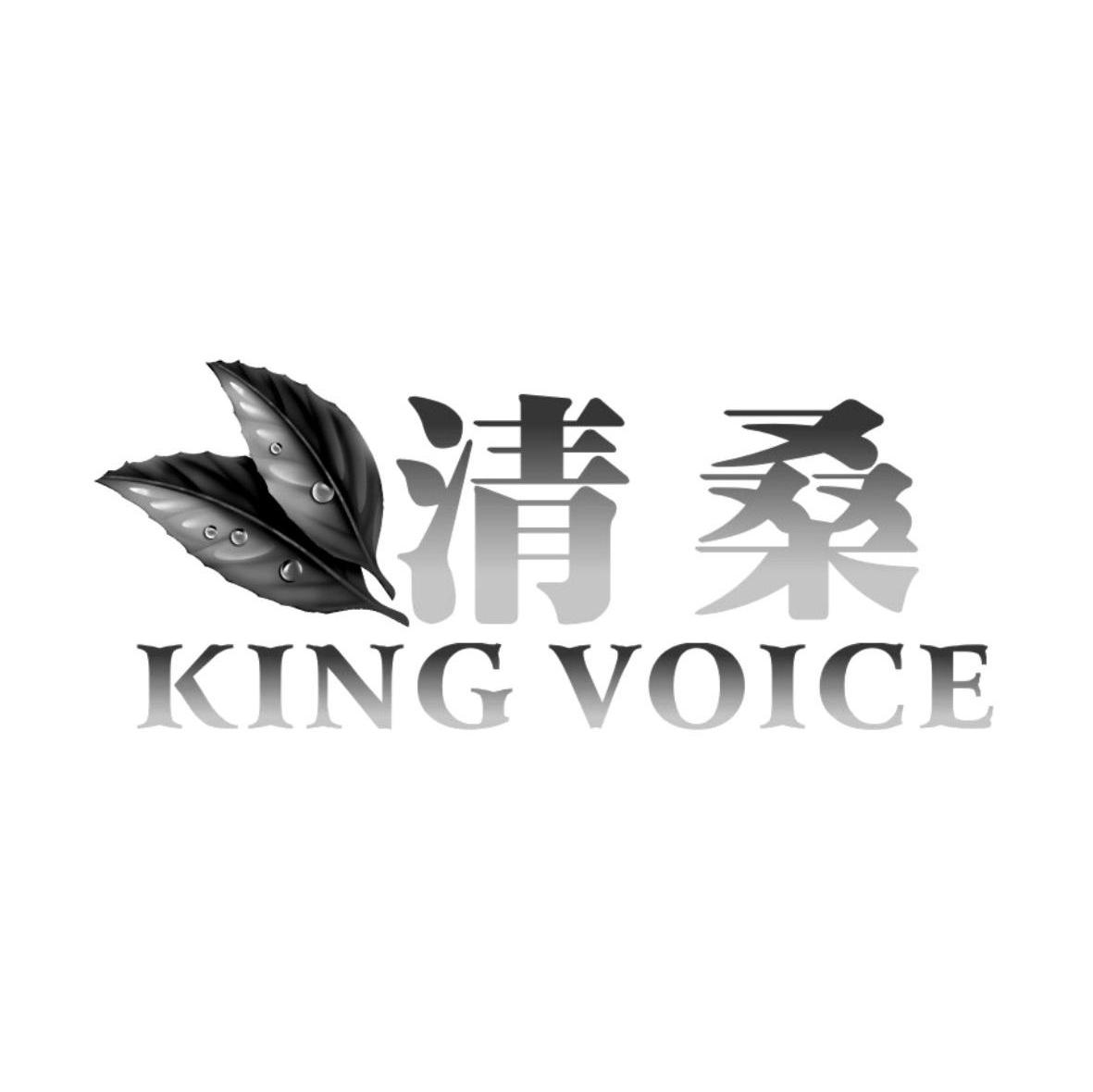 清桑 KING VOICE