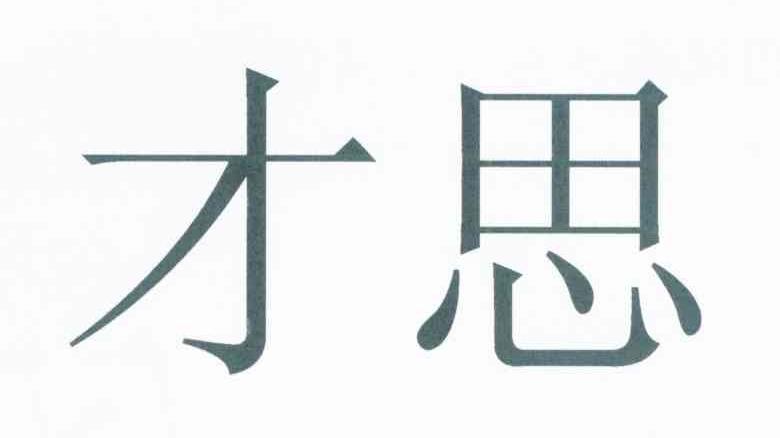 才思