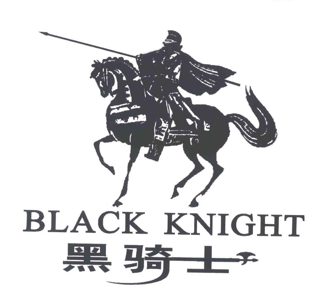 黑骑士;BLACK KNIGHT