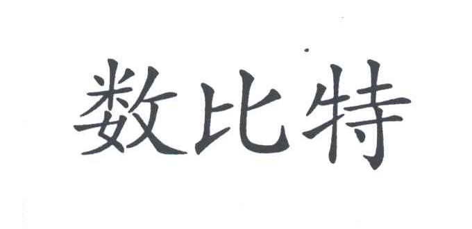 数比特