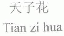 天子花