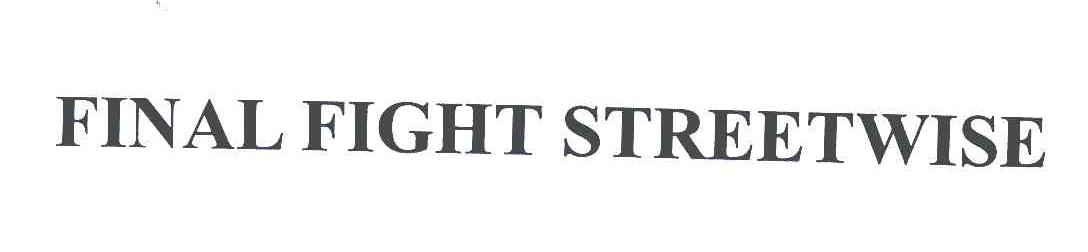 FINAL FIGHT STREETWISE