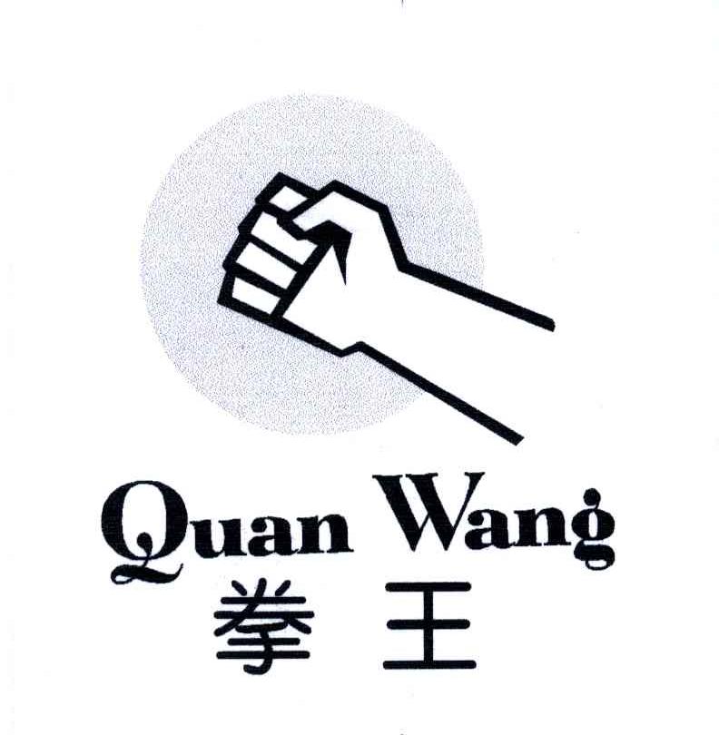 拳王及图形